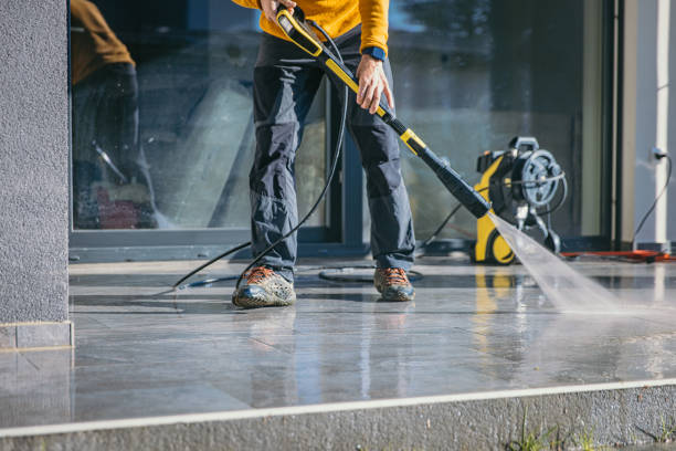Best Roof Cleaning and Mildew Removal in Warrensburg, IL